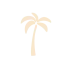 Harbord Hotel Palm tree Icon